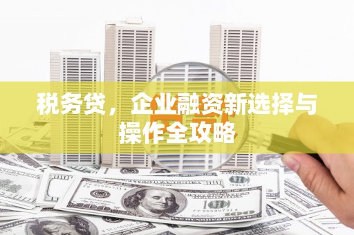 弥陀税务贷，企业融资新选择与操作全攻略