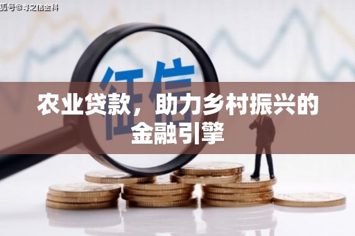 弥陀农业贷款，助力乡村振兴的金融引擎