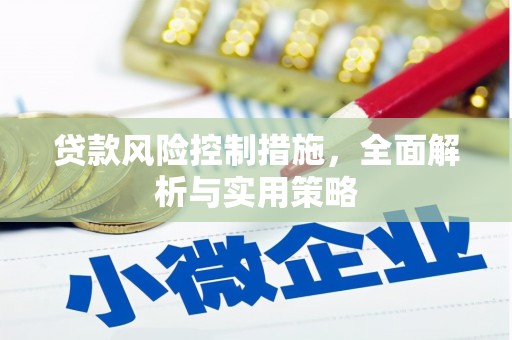 弥陀贷款风险控制措施，全面解析与实用策略