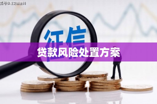 弥陀贷款风险处置方案