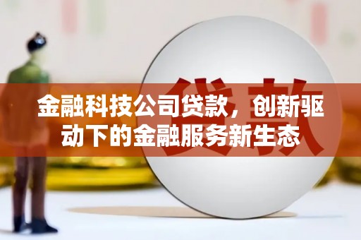 弥陀金融科技公司贷款，创新驱动下的金融服务新生态