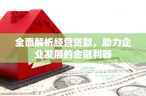 弥陀全面解析经营贷款，助力企业发展的金融利器