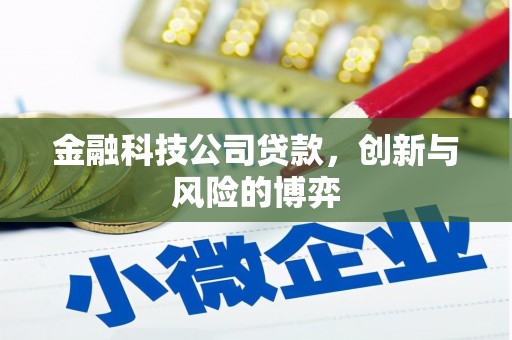 弥陀金融科技公司贷款，创新与风险的博弈