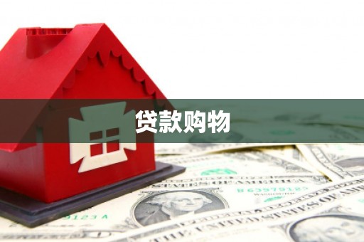 弥陀贷款购物