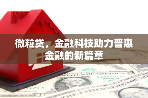 弥陀微粒贷，金融科技助力普惠金融的新篇章