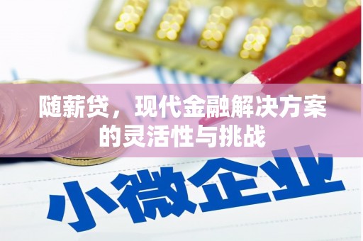 弥陀随薪贷，现代金融解决方案的灵活性与挑战