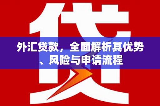 弥陀外汇贷款，全面解析其优势、风险与申请流程