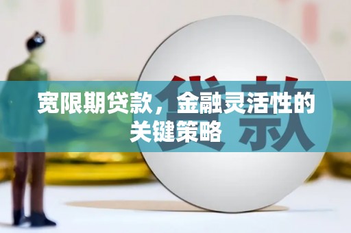 弥陀宽限期贷款，金融灵活性的关键策略