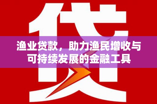 弥陀渔业贷款，助力渔民增收与可持续发展的金融工具