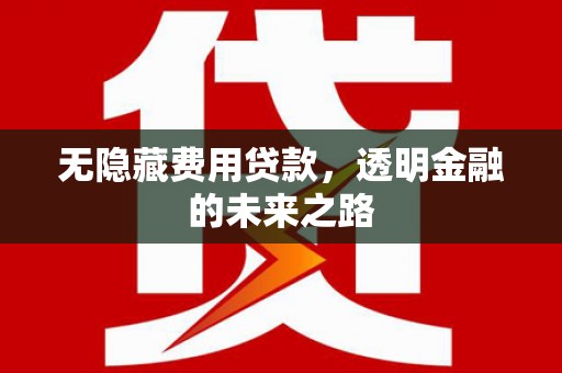 弥陀无隐藏费用贷款，透明金融的未来之路