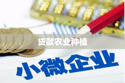 弥陀贷款农业种植