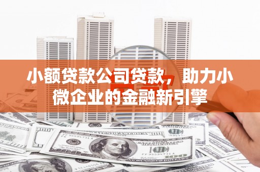 弥陀小额贷款公司贷款，助力小微企业的金融新引擎