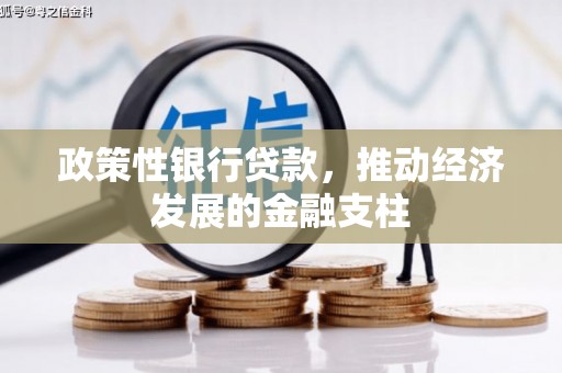 弥陀政策性银行贷款，推动经济发展的金融支柱