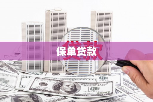 弥陀保单贷款