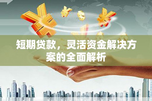 弥陀短期贷款，灵活资金解决方案的全面解析