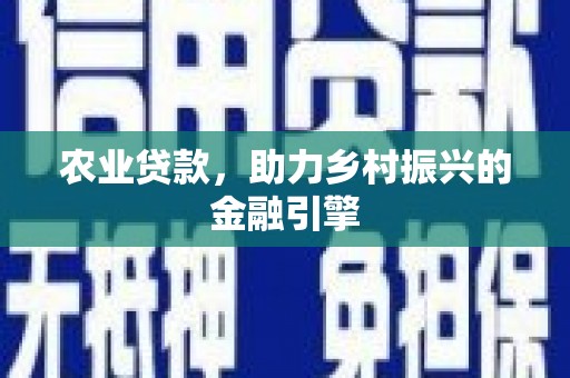 弥陀农业贷款，助力乡村振兴的金融引擎