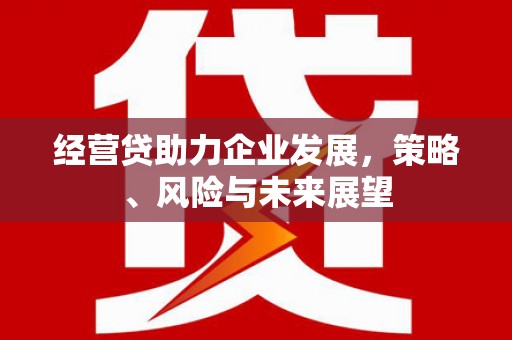 弥陀经营贷助力企业发展，策略、风险与未来展望