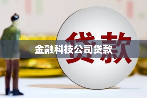 弥陀金融科技公司贷款
