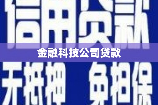 弥陀金融科技公司贷款