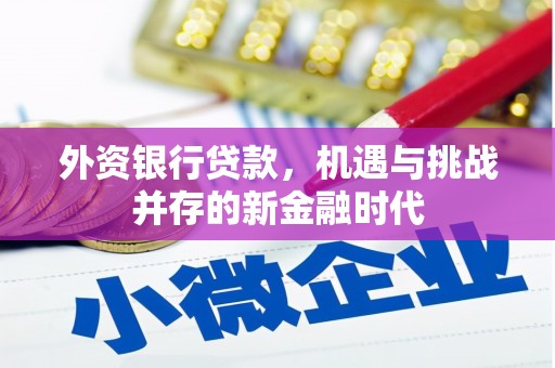 弥陀外资银行贷款，机遇与挑战并存的新金融时代