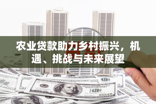 弥陀农业贷款助力乡村振兴，机遇、挑战与未来展望