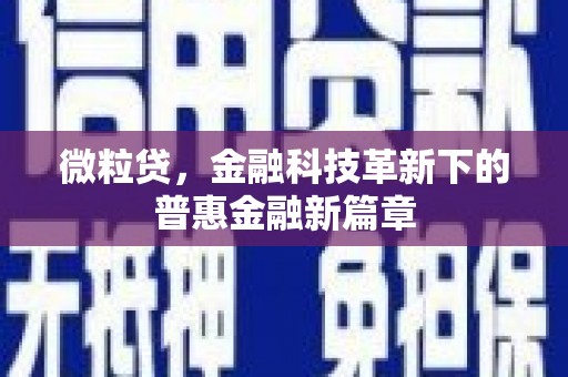 弥陀微粒贷，金融科技革新下的普惠金融新篇章