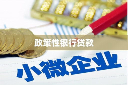 弥陀政策性银行贷款