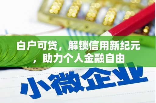 弥陀白户可贷，解锁信用新纪元，助力个人金融自由