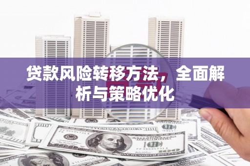 弥陀贷款风险转移方法，全面解析与策略优化