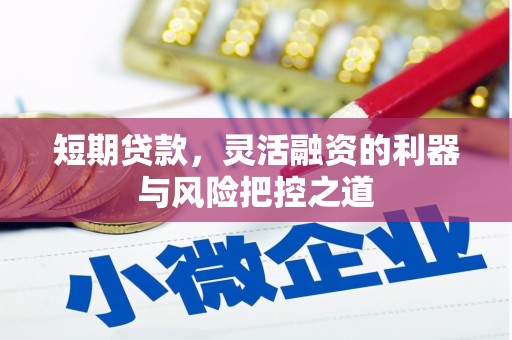 弥陀短期贷款，灵活融资的利器与风险把控之道