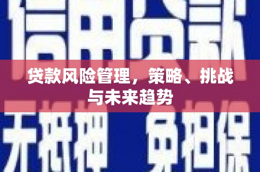 弥陀贷款风险管理，策略、挑战与未来趋势