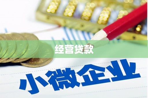 弥陀经营贷款