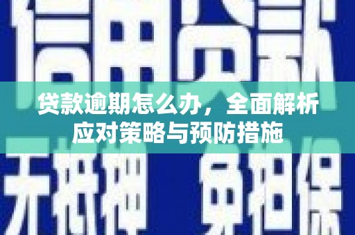 弥陀贷款逾期怎么办，全面解析应对策略与预防措施