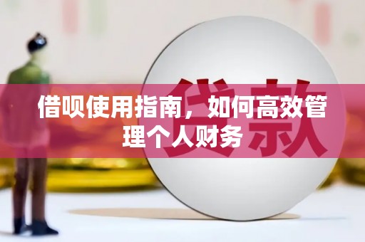 弥陀借呗使用指南，如何高效管理个人财务