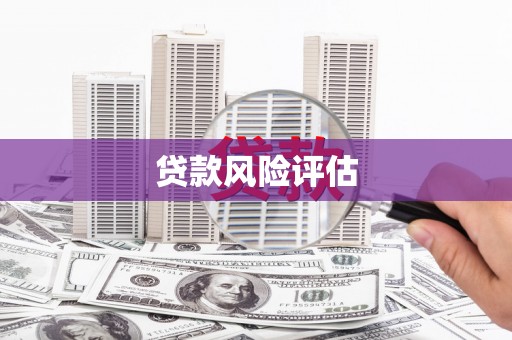 弥陀贷款风险评估