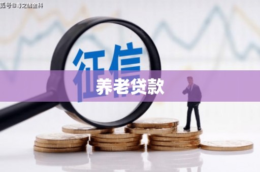 弥陀养老贷款