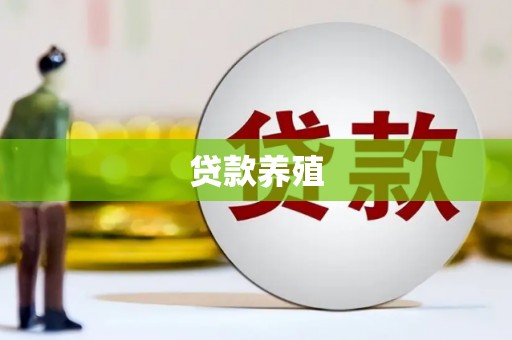 弥陀贷款养殖
