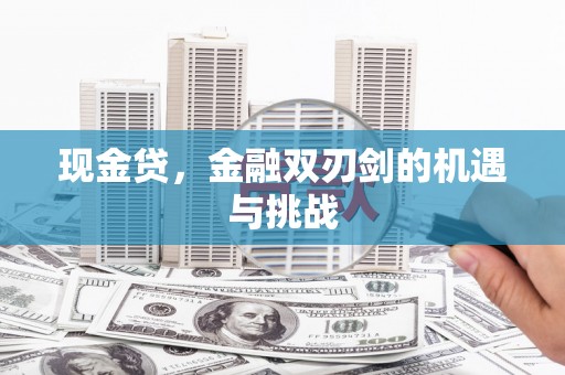 弥陀现金贷，金融双刃剑的机遇与挑战