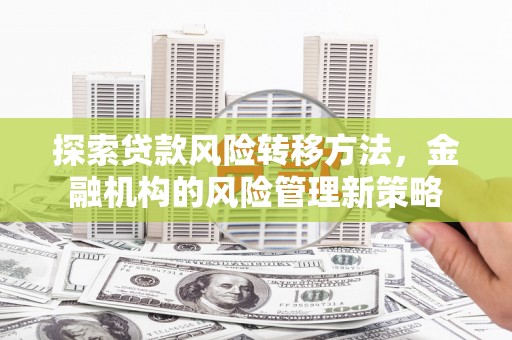 弥陀探索贷款风险转移方法，金融机构的风险管理新策略
