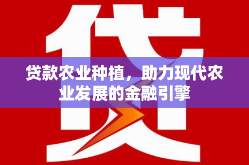 弥陀贷款农业种植，助力现代农业发展的金融引擎