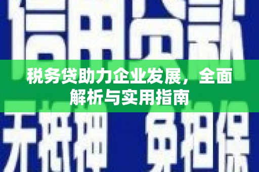 弥陀税务贷助力企业发展，全面解析与实用指南