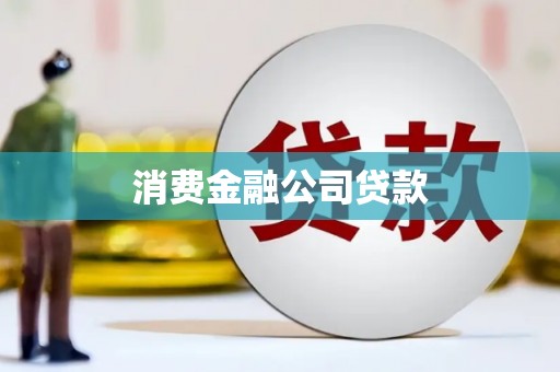 弥陀消费金融公司贷款