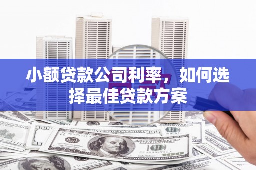 弥陀小额贷款公司利率，如何选择最佳贷款方案