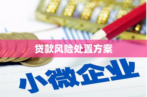 弥陀贷款风险处置方案