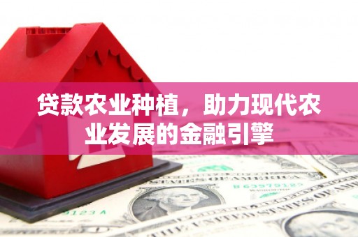 弥陀贷款农业种植，助力现代农业发展的金融引擎