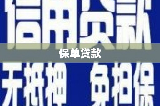 弥陀保单贷款