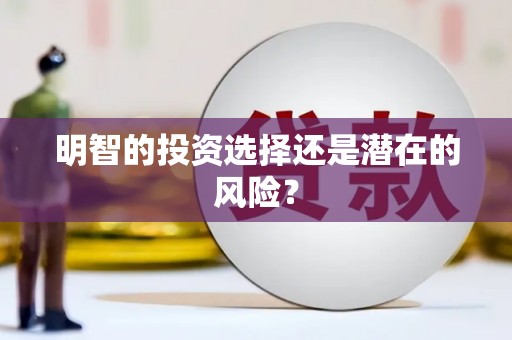 弥陀明智的投资选择还是潜在的风险？
