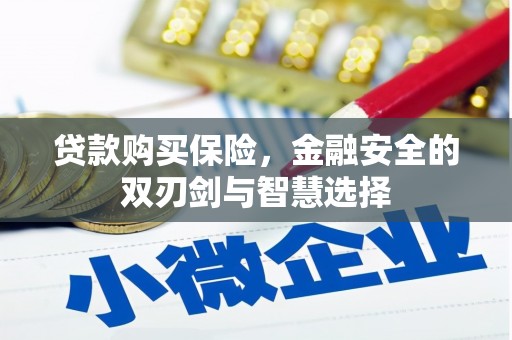 弥陀贷款购买保险，金融安全的双刃剑与智慧选择