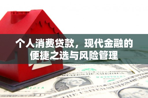 弥陀个人消费贷款，现代金融的便捷之选与风险管理
