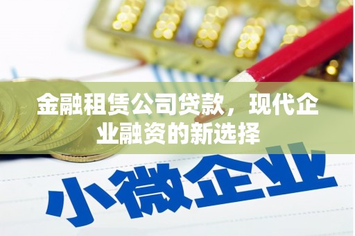弥陀金融租赁公司贷款，现代企业融资的新选择